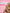 Vaginal Moisturizer – 10 Applicators