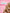 Vaginal Moisturizer – 20 Applicators