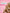 Vaginal Moisturizer – 3 Applicators