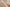 Promotion banner