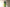 Promotion banner