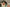 Promotion banner