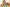 Promotion banner