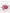 Bacterial Vaginosis Capsules  60 Count