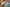 Promotion banner